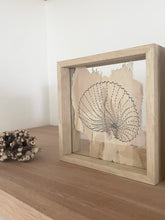 Load image into Gallery viewer, Paper Nautilus | Paperbark
