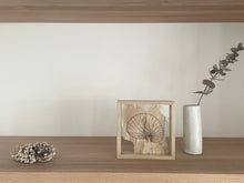 Load image into Gallery viewer, Paper Nautilus | Paperbark