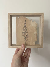 Load image into Gallery viewer, Tibias Spindle Shell | Paperbark