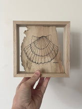 Load image into Gallery viewer, Scallop Shell | Paperbark