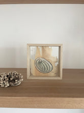 Load image into Gallery viewer, Abalone Shell | Paperbark