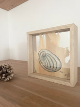 Load image into Gallery viewer, Abalone Shell | Paperbark