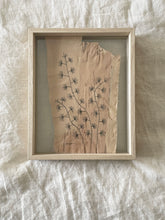 Load image into Gallery viewer, Fan Flower | Paperbark