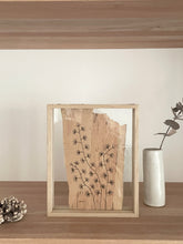 Load image into Gallery viewer, Fan Flower | Paperbark