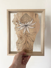 Load image into Gallery viewer, Waratah | Paperbark