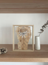 Load image into Gallery viewer, Waratah | Paperbark