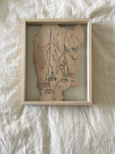 Load image into Gallery viewer, Flowering Gum | Paperbark