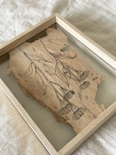Load image into Gallery viewer, Flowering Gum | Paperbark