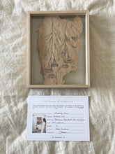 Load image into Gallery viewer, Flowering Gum | Paperbark