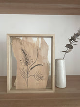 Load image into Gallery viewer, Grevillea | Paperbark
