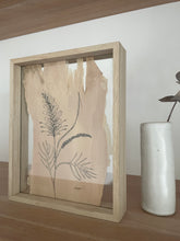 Load image into Gallery viewer, Grevillea | Paperbark