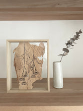 Load image into Gallery viewer, Flowering Gum | Paperbark