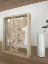 Load image into Gallery viewer, Flowering Gum | Paperbark