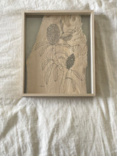 Load image into Gallery viewer, Fairy Wren on Blue Banksia | Paperbark