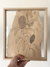 Load image into Gallery viewer, Fairy Wren on Blue Banksia | Paperbark