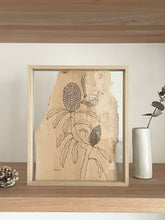 Load image into Gallery viewer, Fairy Wren on Blue Banksia | Paperbark