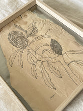 Load image into Gallery viewer, Fairy Wren on Blue Banksia | Paperbark