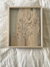 Load image into Gallery viewer, Fan Tail on Wax Flower | Paperbark