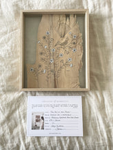 Load image into Gallery viewer, Fan Tail on Wax Flower | Paperbark