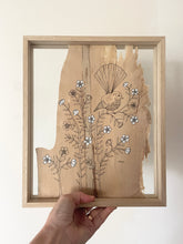 Load image into Gallery viewer, Fan Tail on Wax Flower | Paperbark
