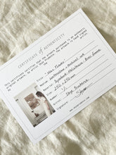 Load image into Gallery viewer, Wax Flower | Paperbark