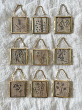 Load image into Gallery viewer, Wax Flower | Paperbark