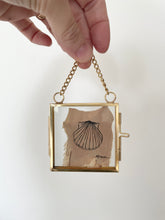 Load image into Gallery viewer, Scallop Shell | Paperbark