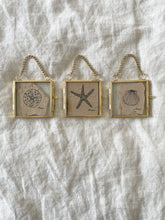 Load image into Gallery viewer, Scallop Shell | Paperbark