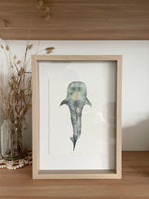 Load image into Gallery viewer, Whale Shark
