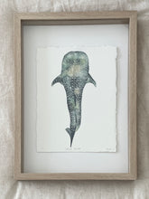 Load image into Gallery viewer, Whale Shark