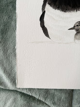 Load image into Gallery viewer, Pied Oystercatcher with Chick