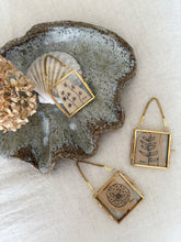 Load image into Gallery viewer, Hakea Laurina | Paperbark