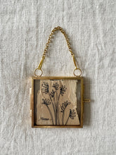 Load image into Gallery viewer, Kangaroo Paw | Paperbark