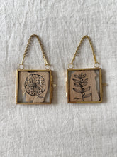 Load image into Gallery viewer, Witchety Bush | Paperbark