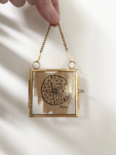 Load image into Gallery viewer, Sand Dollar | Paperbark