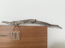 Load image into Gallery viewer, Witchety Bush | Paperbark