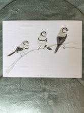 Load image into Gallery viewer, Double-Barred Finches