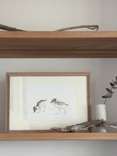 Load image into Gallery viewer, Hooded Plover Chicks