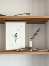 Load image into Gallery viewer, Eastern Spinebill