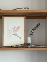 Load image into Gallery viewer, Major Mitchell Cockatoos