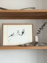 Load image into Gallery viewer, Double-Barred Finches