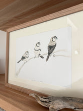 Load image into Gallery viewer, Double-Barred Finches