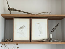 Load image into Gallery viewer, Curlew Sandpiper