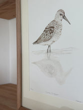 Load image into Gallery viewer, Curlew Sandpiper