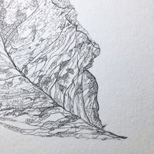 Load image into Gallery viewer, Veins of Life