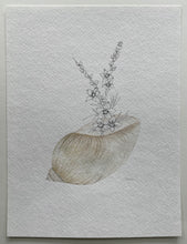 Load image into Gallery viewer, Salt & Pepper Moon