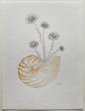 Load image into Gallery viewer, Paper Daisy Nautilus