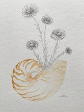Load image into Gallery viewer, Paper Daisy Nautilus