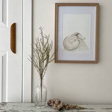 Load image into Gallery viewer, Pippy the Platypus