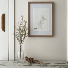 Load image into Gallery viewer, Betty the Bilby